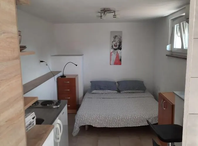 Soba Sanja Apartment Pula